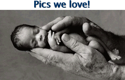 Pics we love!